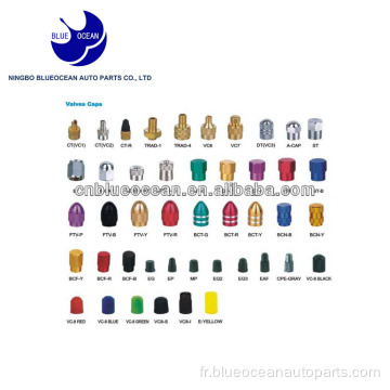 accessoires en gros bouchon de valve de couleur plastique laiton alu